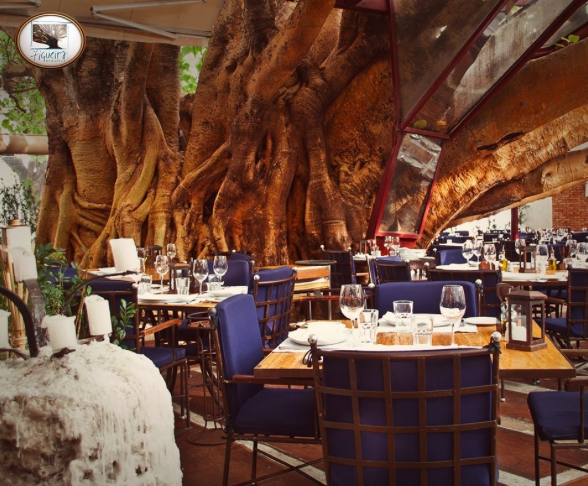 Imagem Destino - Amigas de Viagem